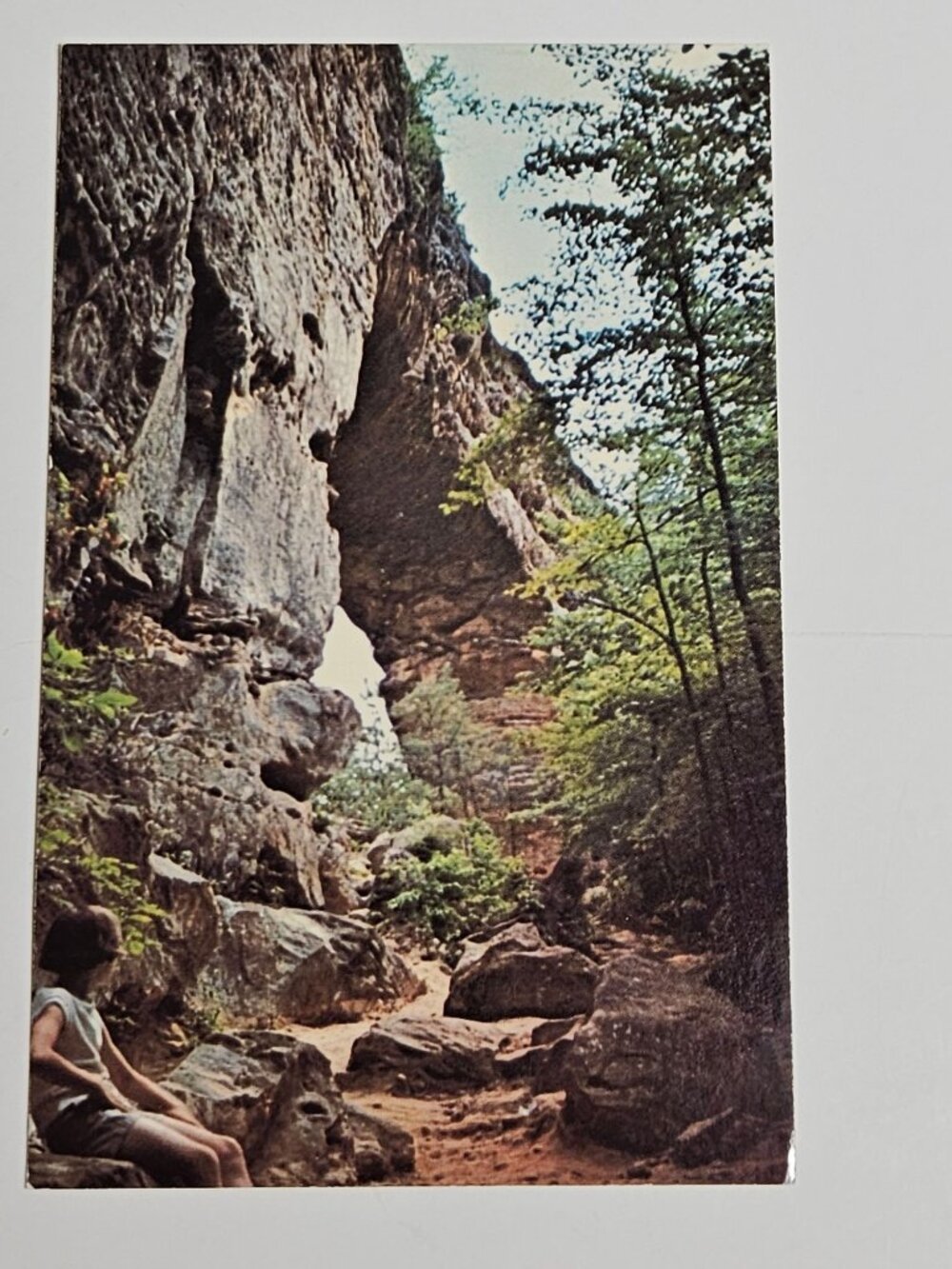 Natural Bridge State Park Slade Kentucky Postcard